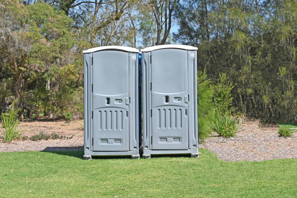 Best Pest Control for Lawns  in New City, NY